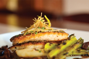 Faucibus eu laoreet nunc